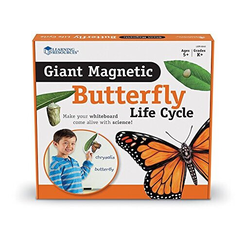 Learning Resources Learning Resources Butterfly Life Cycle, 9 Write and Wipe Pieces, Classroom Accessories, Teaching Aids, Ages 5