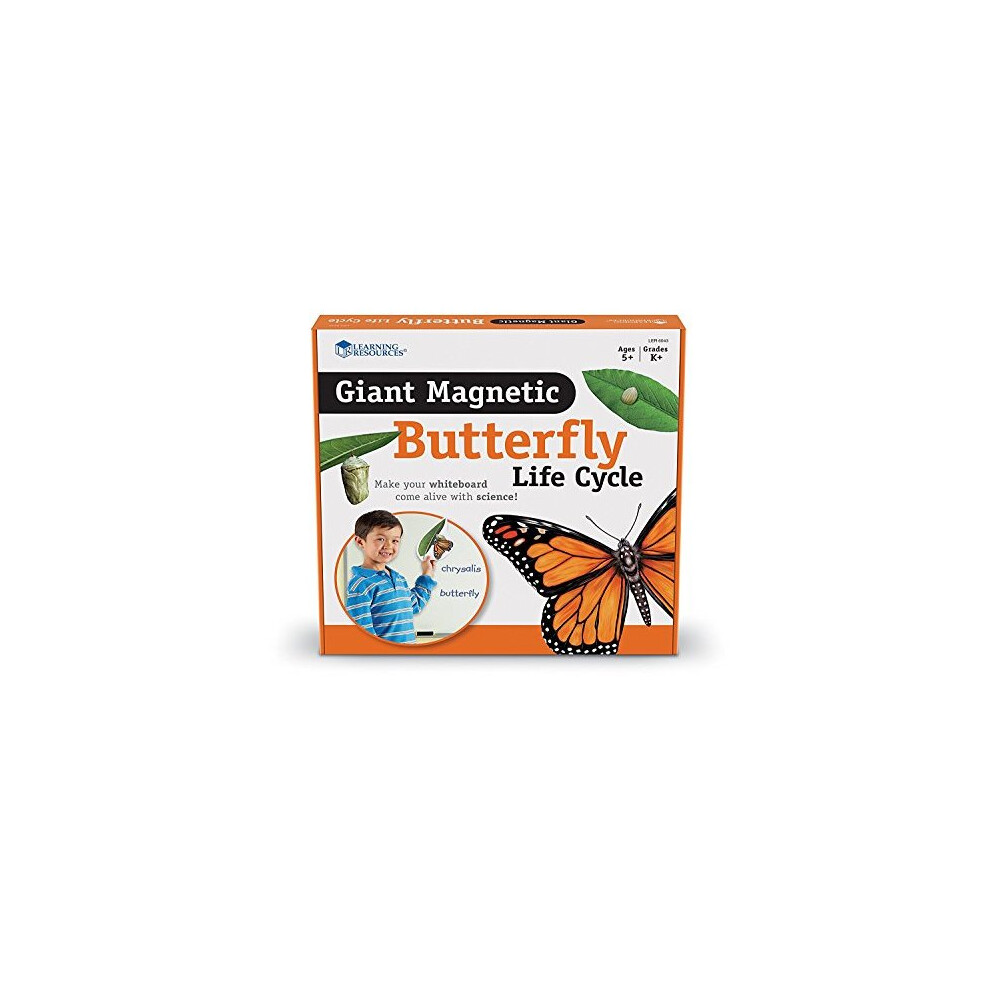 Learning Resources Butterfly Life Cycle, 9 Write and Wipe Pieces, Classroom Accessories, Teaching Aids, Ages 5