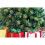5FT Kentucky Pine 576 Green Pencil Needle Tips Bushy Artificial Christmas Tree 3