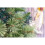 5FT Kentucky Pine 576 Green Pencil Needle Tips Bushy Artificial Christmas Tree 4