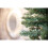 5FT/1.5M Slim Pine Green Tree Christmas with 280 Pencil Point Tips 6