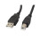 Lanberg AM-BM USB 2.0 Kabel 5m Sort 2