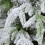 5ft Pre-Lit Artificial Christmas Tree 3