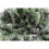 5ft Pre-Lit Artificial Christmas Tree 4