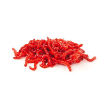 (Large 2.5cm - 100ml - 10 Pack) Swell UK Live Bloodworm Aquarium Fish Food 10 Pack