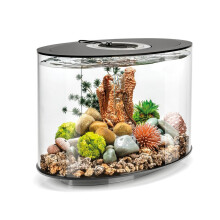 biOrb Loop 15L Aquarium MCR LED Black – Complete Starter Kit with Filter, Aeration & 360 View