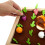 Kids Wooden Memory Board Game Sorting Puzzle Carrots Harvest 5