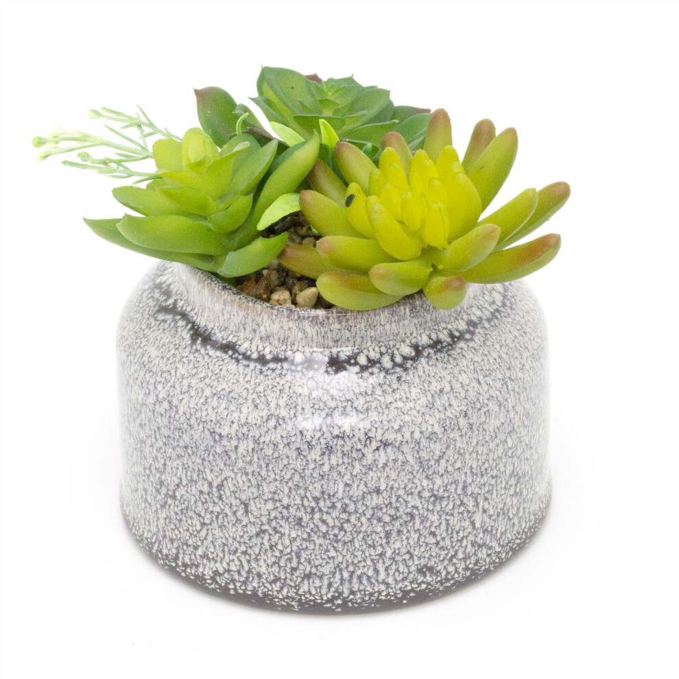 Artificial Succulent Potted Plant | Faux Plant And Ceramic Planter | Fake House Plant Home Decor - White