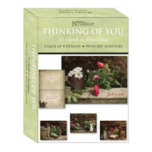Crown Point Graphics Shared Blessings-Thinking of You Florally Yours Card-Boxed - Box of 12