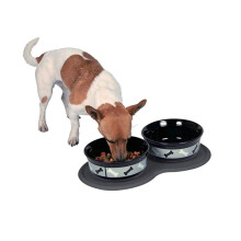 Waterproof Double Pet Bowl Mat Cat/Dog Feeding Water Food Dish Tray Wipe Clean