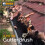 4m Gutter Guard Brush Leaf Protection Filter Clog Removal Down-Pipe Roof Black 1