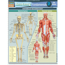 BarCharts- Inc. Anatomy Fundamentals- Life