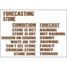 DOGT Metal Sign 8x12 inches Weather Forecasting Stone Metal Sign