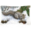 Carolines Treasures  Grey Squirrel Fabric Decorative Pillow 1