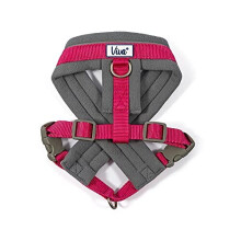 Viva Padded Harness - Pink, Size S (36-42cm) | Weather-proof, Adjustable, Front/Rear Load, Reflective Band