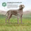 Eukanuba EUKANUBA Sensitive Joints Trockenfutter für Hunde 12 kg 2
