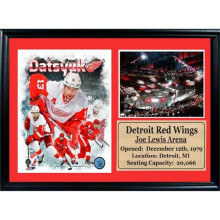 Encore Select 12 x 18 Photo Stat Frame - Pavel Datsyuk Detroit Red Wings