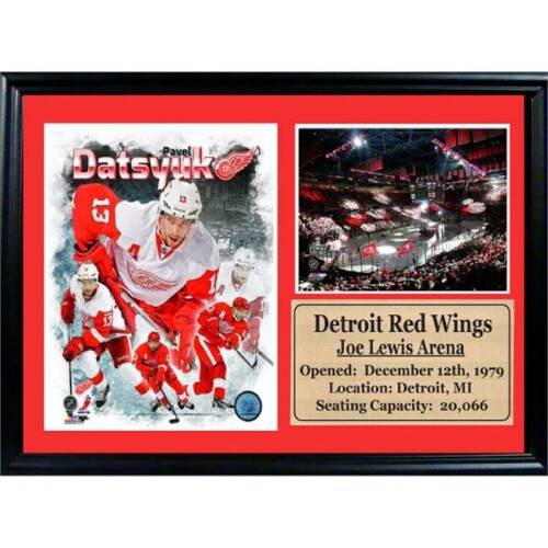 Encore Select  12 x 18 Photo Stat Frame - Pavel Datsyuk Detroit Red Wings