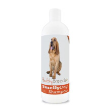 Healthy Breeds Bloodhound Smelly Dog Baking Soda Shampoo