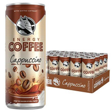 HELL ENERGY COFFEE Cappuccino Iced Coffee (24 x 250ml)