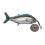 Iron Cat  Tuna with Catnip Pouch 1
