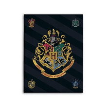 Harry Potter Hogwarts Fleece Blanket 100 x 140 cm, Black