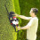 BU-KO BUKO 26CC Petrol Hedge Trimmer Handheld Hedge Cutter 7