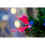 (2Ft) Butterflies Fibre Optic Christmas Tree LED Pre-Lit 7