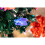 (3Ft) Butterflies Fibre Optic Christmas Tree LED Pre-Lit 7