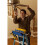 Werner AC54-JC Ladder-Accessoires 5