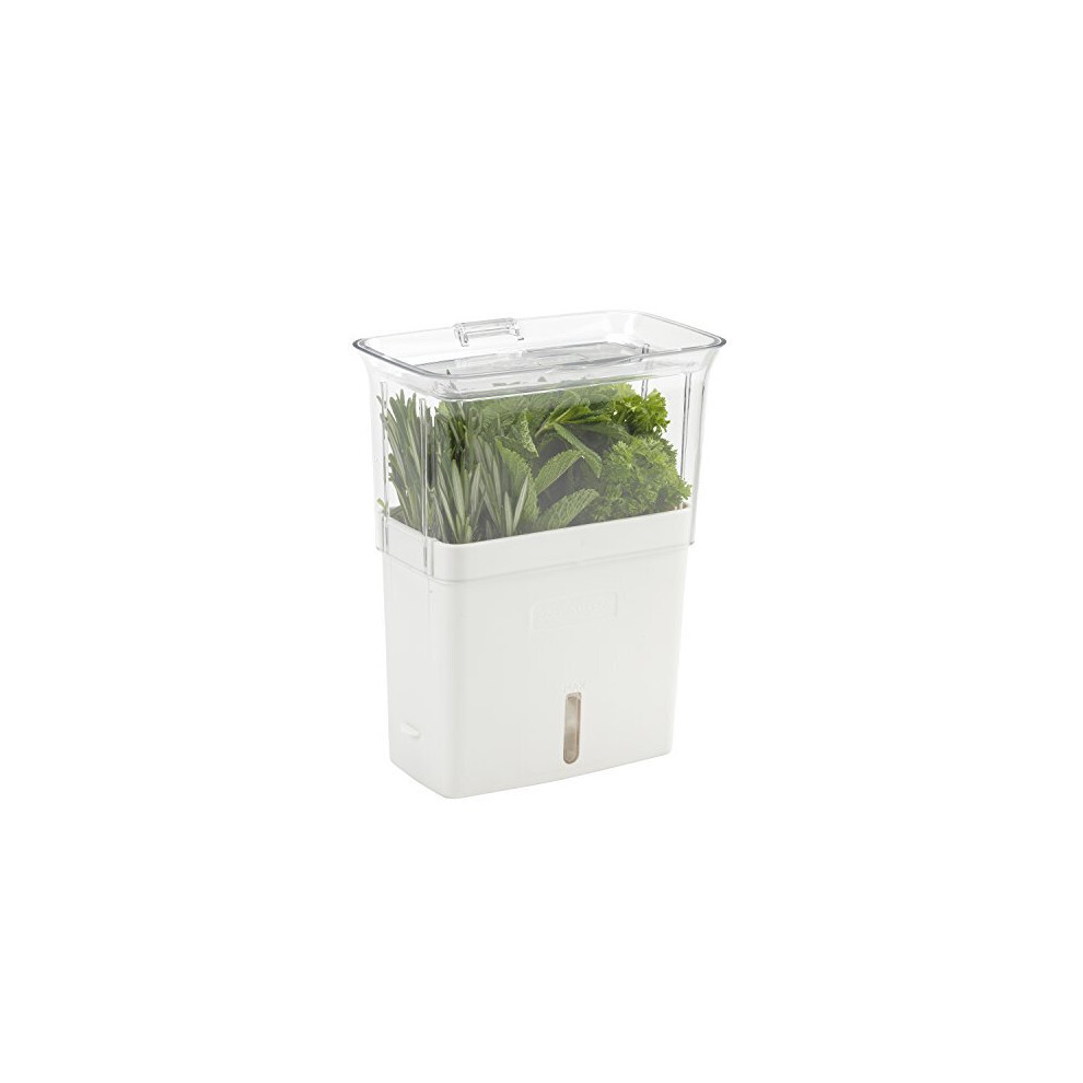 cole & Mason cut Herb Keeper, White by cole & Mason