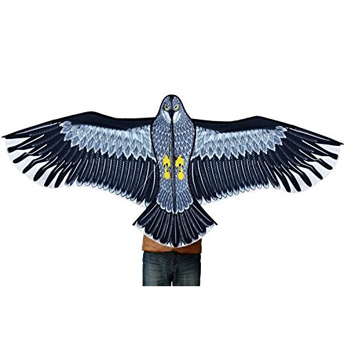 HENGDA KITE-Δυνατοί Αετοί! Μεγάλοι Αετοί για Αρχάριους, 74-Inch 1