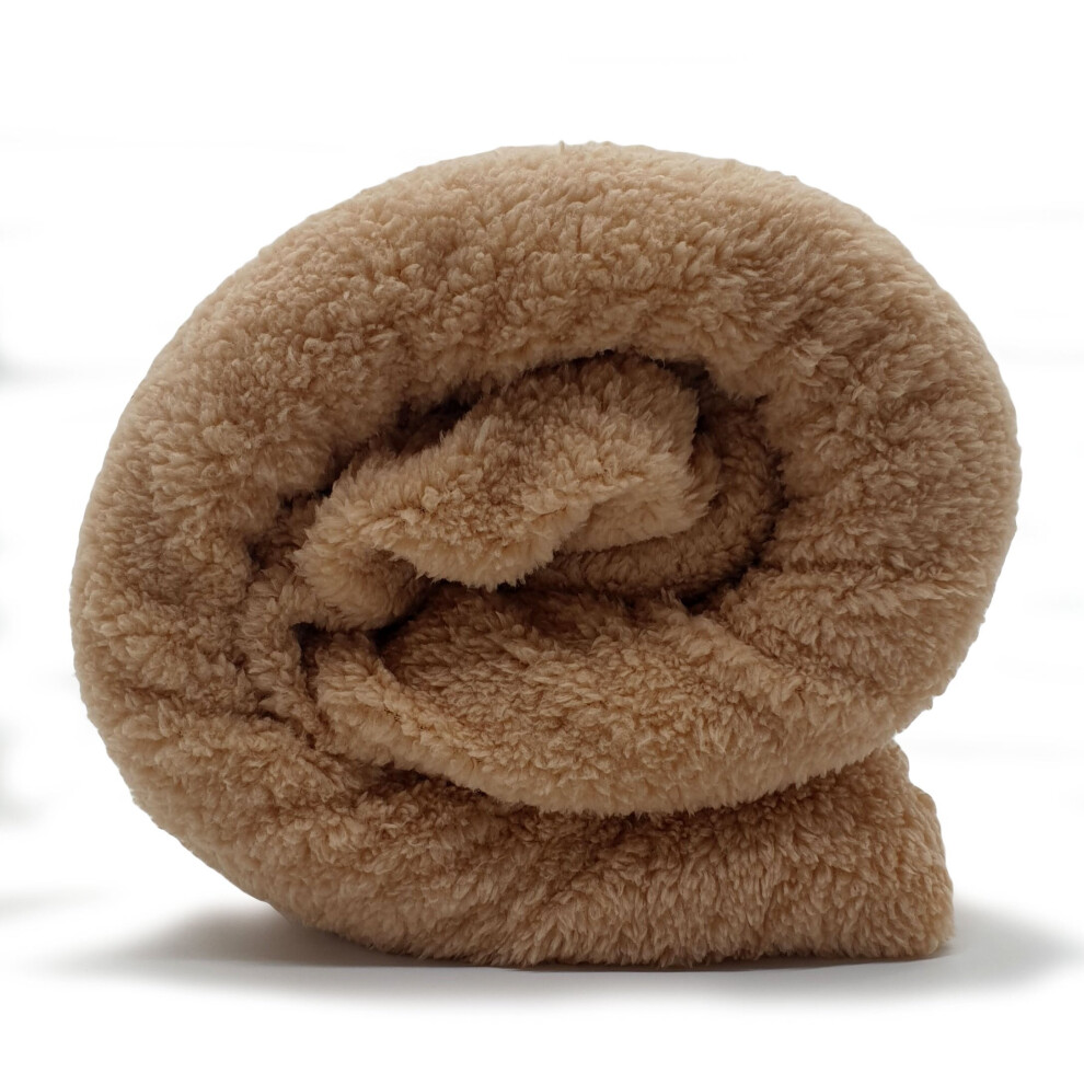 (Kingsize, Champagne Gold) Teddy Bear Fleece Fitted Sheet Warm Thermal Sheet-image-OPC-PB6PXNM-NEW