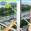 Extendable Window Squeegee with Rotating Head - High-Rise 2-in-1 Window Cleaner, Telescopic 0.6-1.4 m 7