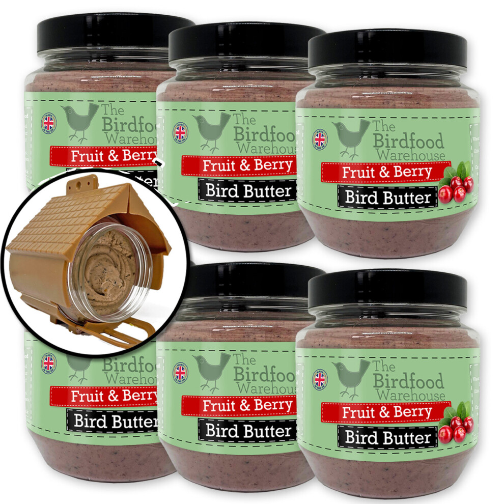 (6 x 375g Jar with Feeder) Fruit & Berry Suet Bird Butter - Wild Bird Food, Peanut Butter for Birds, Insect