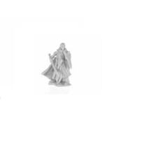 Bones Alandin, Elf Paladin Miniatures