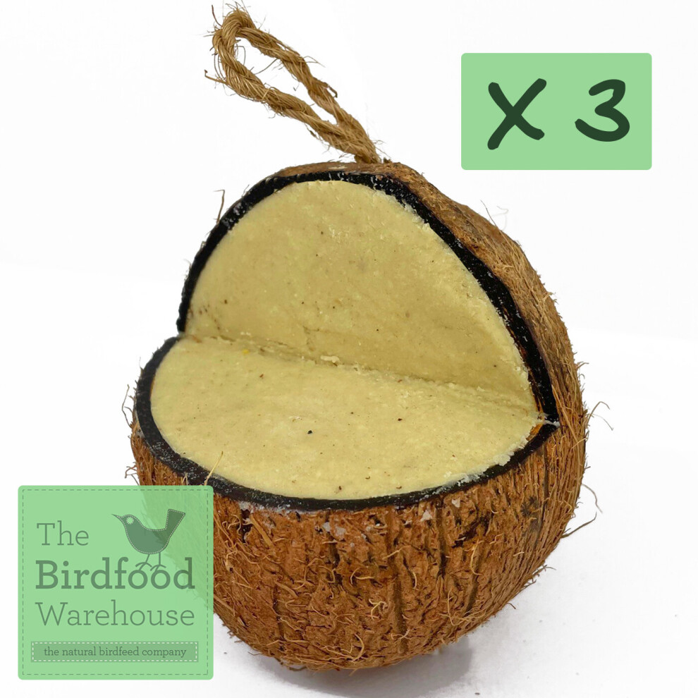 (3 x XL Coconut Feeder) XL Peanut Butter Suet Coconut Feeder - Wild Bird Food, Hanging V-Cut Coconut