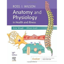 Ross & Wilson Anatomy and Physiology in Health and Illn - Waugh, Anne - Paperback / sof -01/07/2022