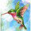 Diamond Dotz - DD5-031 - Colibri - 13 facette - Mixte 1