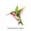 Diamond Dotz - DD5-031 - Colibri - 13 facette - Mixte 2