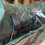 Selections Christmas Tree Storage Bags (Set of Two) 7