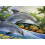 Paint By Number Kit Large - Dolphin Island 2