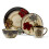 Pfaltzgraff Painted Poppies 16-Piece Stoneware Dinnerware Set, Service for 4, Tan/Assorted - 1