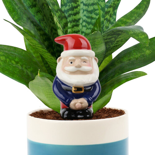 Peeing Gnome - Self Watering Planter 1