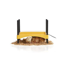 Eco Glow Safety 600 Chick Brooder