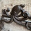Selections Wall Mounted Octopus Loo Roll Holder in Cast Iron (Set of 2) 3
