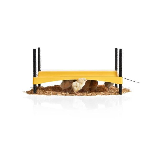 Eco Glow Safety 1200 Chick Brooder