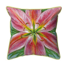 12 x 12 in. Pink Lily Small Indoor & Outdoor Pillow