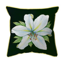 22 x 22 in. Casablanca Lily - Black Background Zippered Indoor & Outdoor Pillow, Extra Large