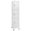 VidaXL vidaXL Schließfachschrank mit 3 Fächern 38x45x180 cm 1
